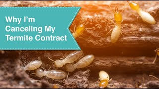 Why Im Canceling My Termite Contract [upl. by Chlori]