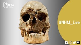 Who was Cheddar Man  NHMLive [upl. by Ellebyam]