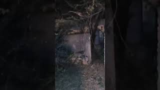 ghost vihari ಇಲ್ಲಿ ಹೋದರೆ ದೆವ್ವದ REAL GHOST HAUNTED haunted kannada viralvideo [upl. by Juetta186]