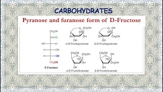 Pyranose and furanose form of DFructose [upl. by Garibold]