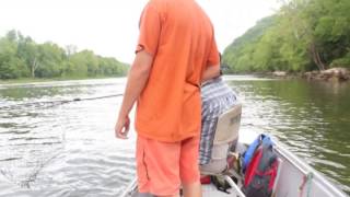 Catching Brown Trout on the White River at His Place Resort Cotter Arkansas [upl. by Grimbly]