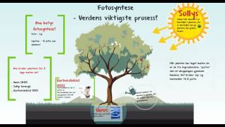 Fotosyntese og celleånding [upl. by Magel]