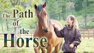 The Path of the Horse  Full Length documentary [upl. by Hutchison]