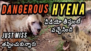 dangerous Hyena కొెంచెం లో తప్పించుకున్నాంhyena dangeroushyena [upl. by Lehte820]