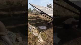 Solar farmingfarmer agriculture cow solarenergy [upl. by Anivlek]