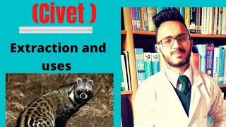 Civet  Extraction and uses  Animal origin drug [upl. by Golding]