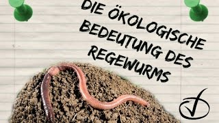 Die ökologische Bedeutung des Regenwurms [upl. by Hardner]