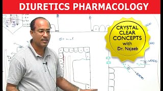 Diuretics  Pharmacology  Dr Najeeb [upl. by Mcnally]