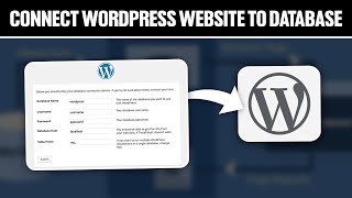 How To Connect WordPress Website To a Database 2024 Full Tutorial [upl. by Aretha]