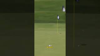 The Top 5 Craziest Golf Shots Of All Time 🔥 [upl. by Rivalee647]