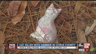 Cat beaten to death with hammer [upl. by Annair]