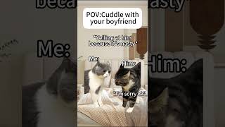 Cuddle with your boyfriend cat catmemes boyfriend funnygf fyp foryou relationship memes [upl. by Garibald]