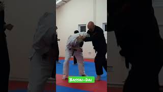 Bassai Dai bunkai karate bunkai martialarts [upl. by Enilraep]