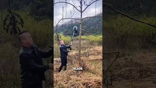 Automatic tree branches cutting Gadget Items versatile amp utensils shorts [upl. by Wil]