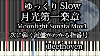 Moonlight Sonata 1st Movement  Beethoven Piano Hero  Leon Stick Manages [upl. by Alanah763]