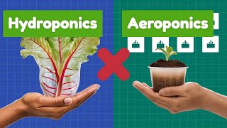 Hydroponics vs Aeroponics The Future of Farming [upl. by Leno22]