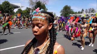 Caribana Toronto Canada 2016 clips [upl. by Nimzaj]