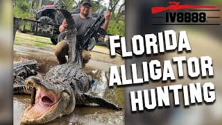 Hunting Alligators in Okeechobee Florida [upl. by Aiceled]