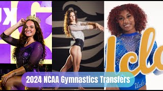 2024 NCAA Gymnastics Transfers [upl. by Irmina757]