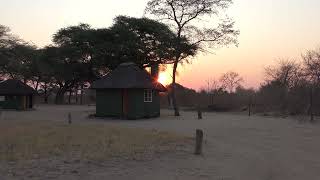 08102024 Hwange NP Kennedy Picknick sunset YT now [upl. by Alimrahs]