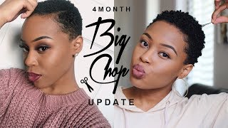 4 MONTH BIG CHOP UPDATE  ITS FINALLY GROWING [upl. by Hahnke823]