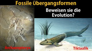 Fossilien als Übergangsformen Brückentiere [upl. by Alikahs]