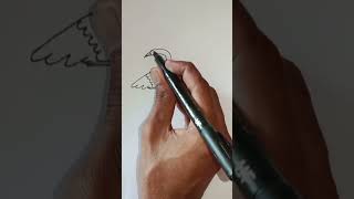 Easy Bird drawing birds drawing shorts viral trending draw drawingforkids ytshorts art yt [upl. by Ayotl]