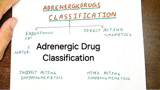 The Ultimate Guide to Adrenergic Drug Classification [upl. by Deyas289]