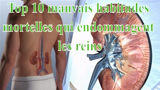 Top 10 Mauvaises Habitudes Mortelles Qui Endommagent Vos Reins [upl. by Ainehs]