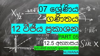 grade 7 maths125 අභ්‍යාසය 12 වීජීය ප්‍රකාශන [upl. by Cila]