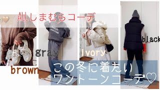 【主婦vlog】しまむらコーデしまむら購入品でできるワントーンコーデほぼALLしまむら [upl. by Chace]