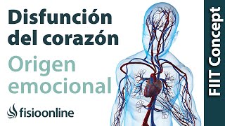 Origen emocional de la disfunción del corazón y sistema cardio circulatorio [upl. by Asyen333]