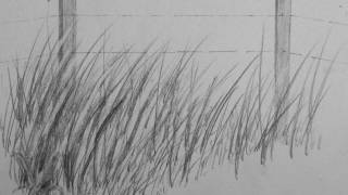 How to Draw Realistic Tall Grass [upl. by Aiekram157]