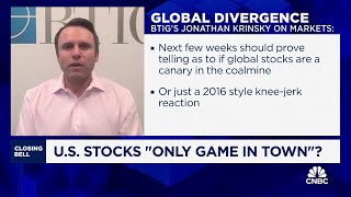 US stocks seem to be only game in town right now says BTIGs Jonathan Krinksy [upl. by Sybilla]