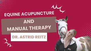 Equine Acupuncture and manual therapy  Dr Astrid Reitz [upl. by Atcliffe]