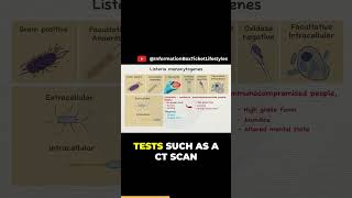 Symptoms and Diagnosis of Listeriosis microbiology101 microbiologist listeria biology [upl. by Nahshon]