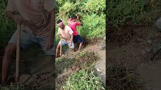 shots priyanathfarms trending viralshort viwes youtubeshorts fishing [upl. by Hailahk]