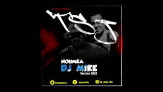 TSJ x DJ MIKE  Noumea version 2020 remix [upl. by Farica]