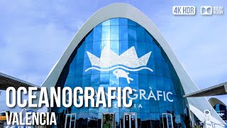 Oceanografic Valencia Largest Marine Park of Europe  🇪🇸 Spain 4K HDR Walking Tour [upl. by Einegue]