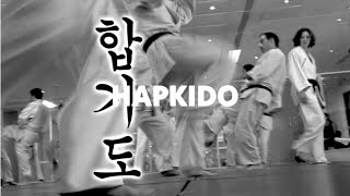 FightMasters  Hapkido [upl. by Aliak496]