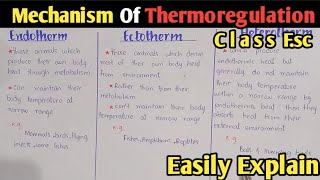 Mechanism Of Thermoregulation  Ectotherm  Endotherm  Heterotherm  Poikilotherm  Homeotherm [upl. by Codi]