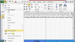 How to Fit Long Text in Excel  Microsoft Excel Help [upl. by Nawad]