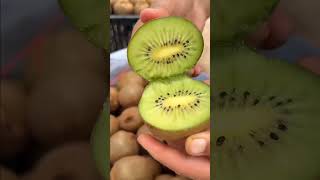 Kiwi cutting🥝 shortgarden fruit kiwi yt youtube [upl. by Sasnak17]