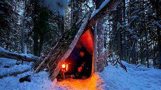 3 Days SOLO SURVIVAL in Winter Shelter  20° Camp in Bushcraft Cabin Build [upl. by Airliah]