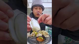 asmr eating raw oysters mukbang [upl. by Martreb]