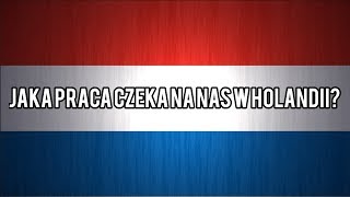 Jaka praca czeka na nas w Holandii [upl. by Apfel]