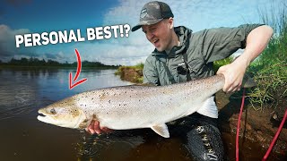 Big Salmon Fishing In Denmark  Epic Spin Fishing For Huge Salmon [upl. by Skilken]