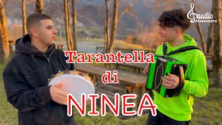 Domenico e Graziano suonano la tarantella di Ninea [upl. by Penland747]