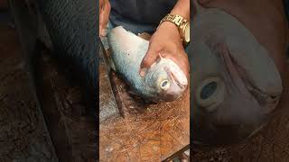 asmrcutting CLEANING SLICING BIG FISH amazingsounds cleaningfish fresh satisfying viralshorts [upl. by Quiteris]