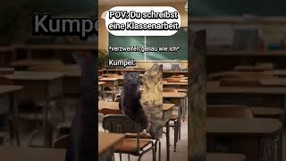 POV Du schreibst eine Klassenarbeit🤯 PART 2 katzenvideos katze lustig schule shorts katzen [upl. by Ev]